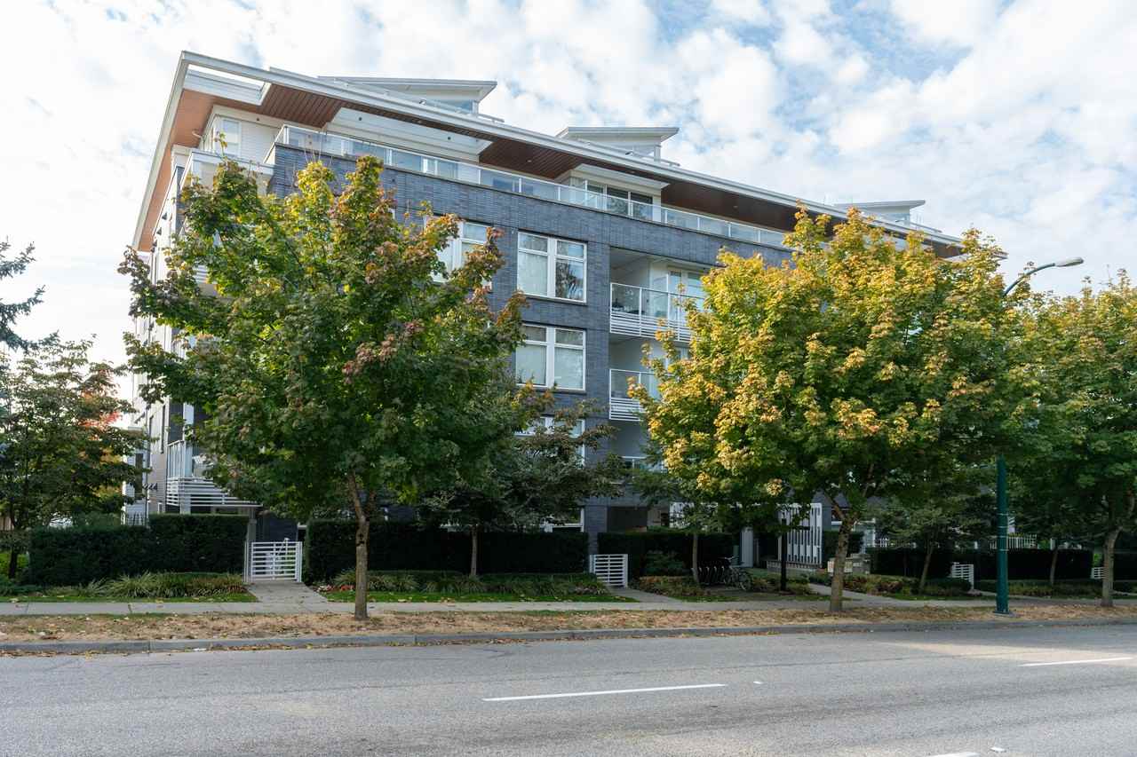 Apartments for Rent in Cambie, Vancouver, BC 25 Rentals Zumper