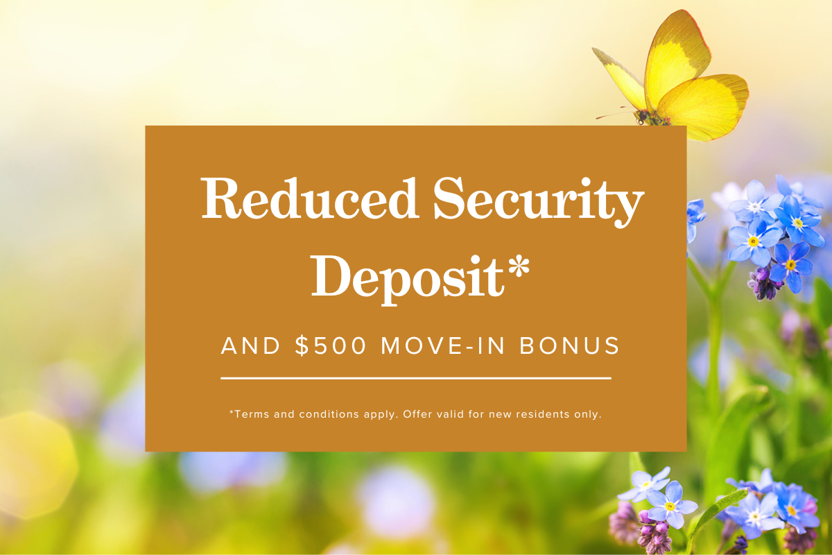 Mayfair Place Apartments 6707 Elbow Dr Sw, Calgary, AB T2V 0E5 Zumper