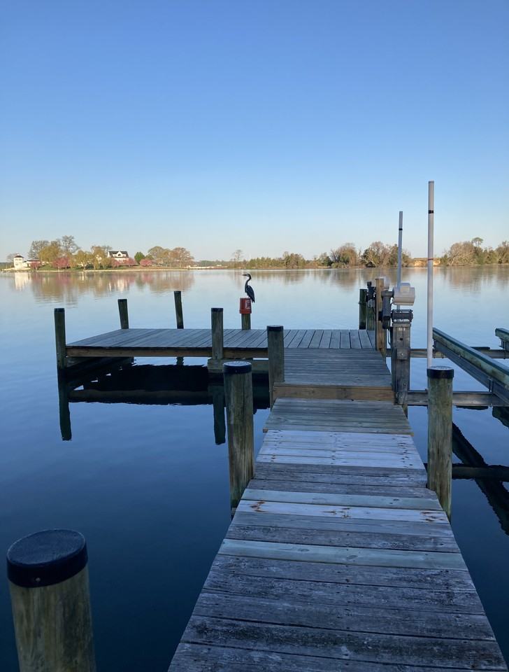 Houses for Rent In Solomons, MD 25 Home Rentals Available Zumper