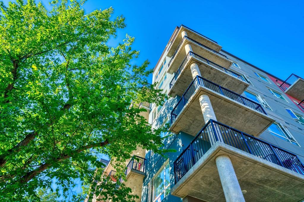 Apartments for Rent in Westmount, Edmonton, AB 25 Rentals Zumper