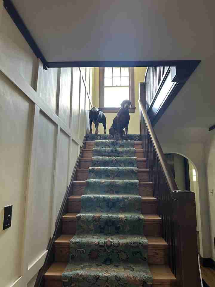 Pet Friendly Houses for Rent in Near Westside, Decatur, IL Rental