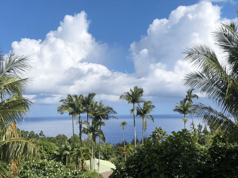 44337 Puaolena St, Honokaa, HI 96727 1 Bedroom Apartment for 1,875