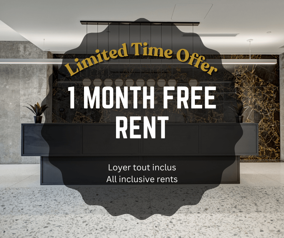 Furnished Apartments for Rent in Quartier VilleMarie, Montréal, QC