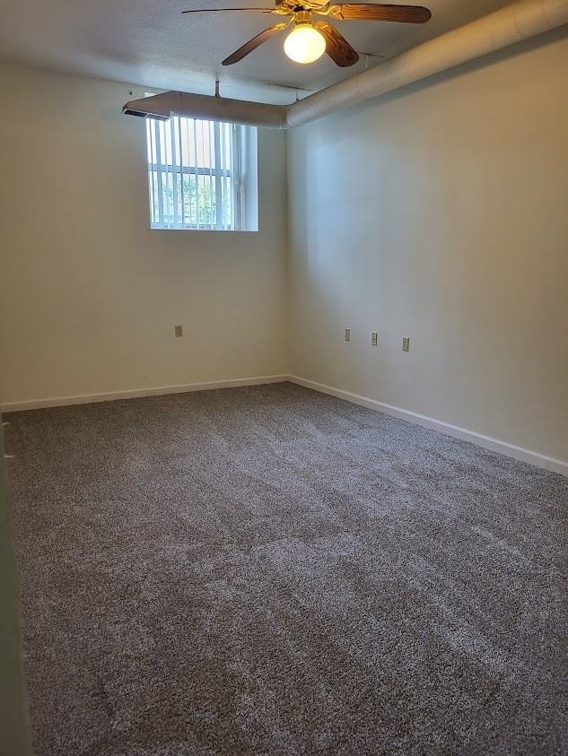 Pet Friendly Apartments for Rent in Waterloo, IA 52 Rentals Zumper