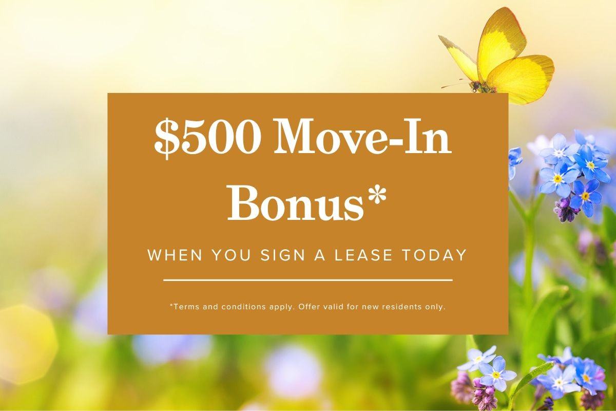 Lynn Gary Apartments 520 Tenth St, New Westminster, BC V3M 3Z6 Zumper