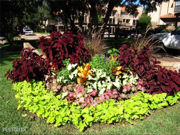 Plaza W Dr W Abram St Apartments W Abram St, Arlington, TX 76013