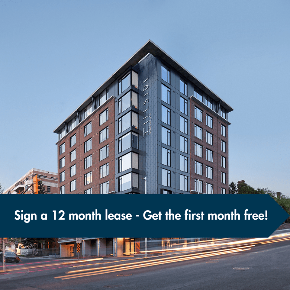 2 Bedroom Apartments for Rent in Sandy Hill, Ottawa, ON 25 Rentals