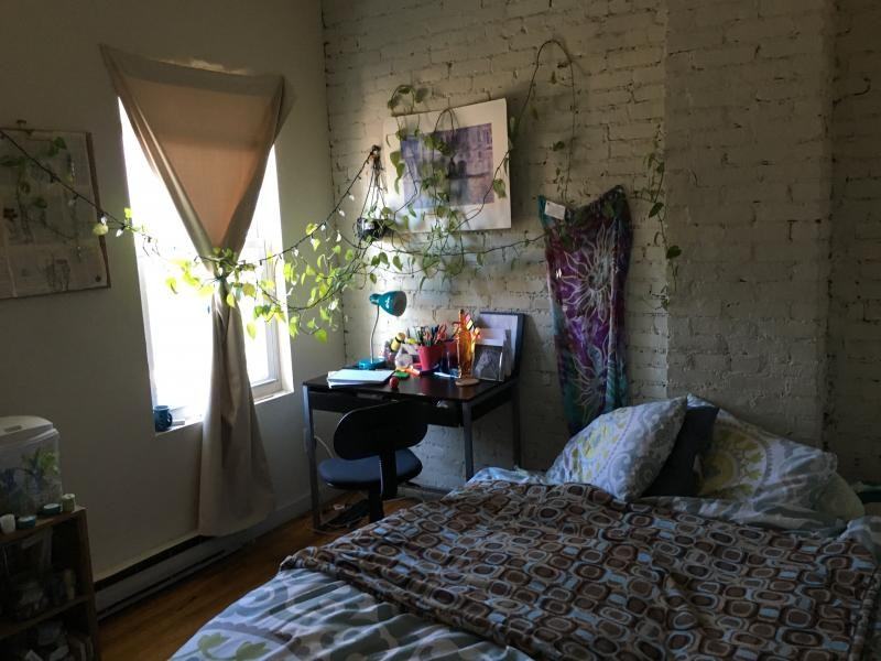 895 Huntington Ave B1, Boston, MA 02115 Studio Apartment for Rent for
