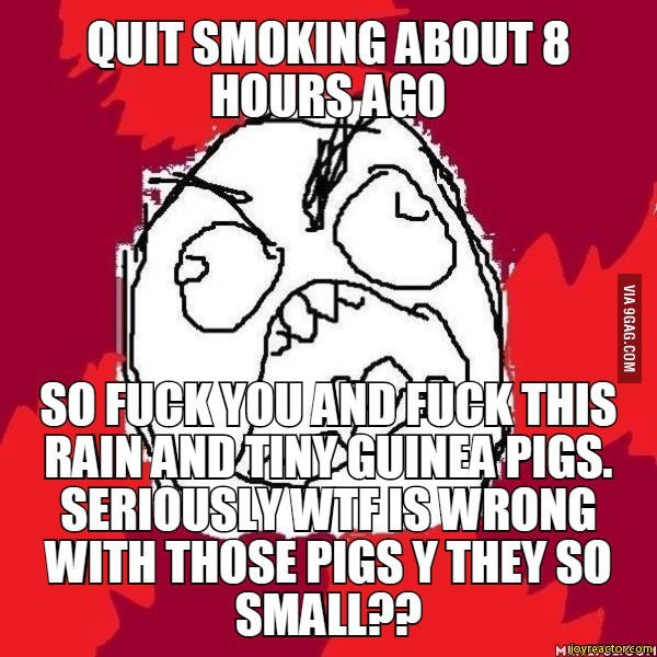 JoyReactor funny pictures & best jokes comics, images, video, humor
