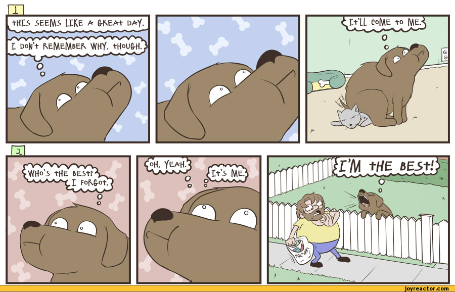 i'm the best / thoughts dog comics (funny comics