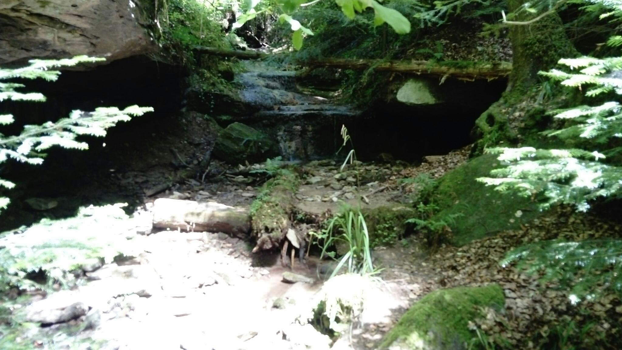 Wanderung durch den Welzheimer Wald • Wanderung »