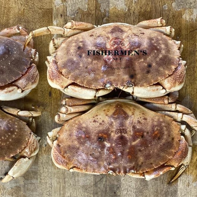 Get Live Fresh Maine Jonah Crabs Delivered Weee! Asian Market