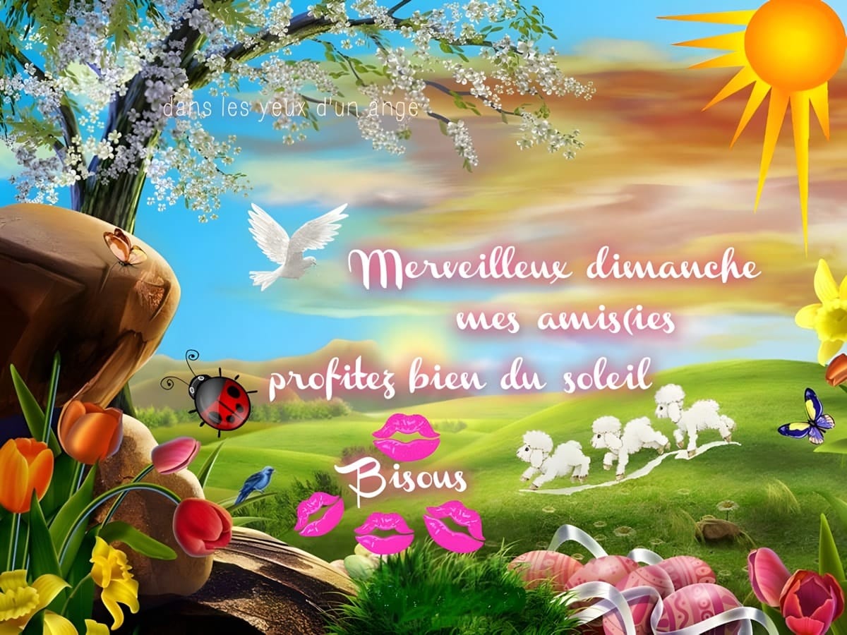 Fleurs De Bach Clin D Oeil Sur Mes A C Motions De Pdf Download