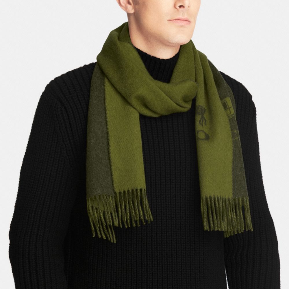COACH Mens Scarves Cashmere BiColor Scarf
