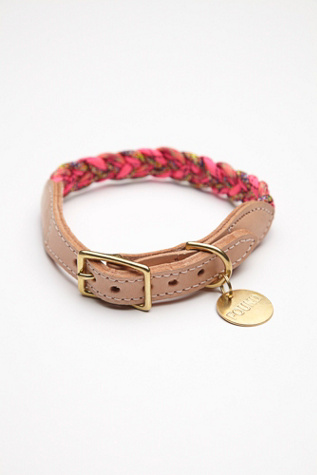 FP Pet Project at Free People