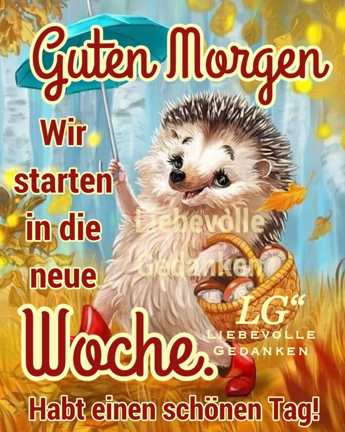 Top 7 guten start in die neue woche gif 2022