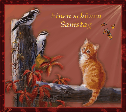 Einen schönen Samstag. Bild 25723