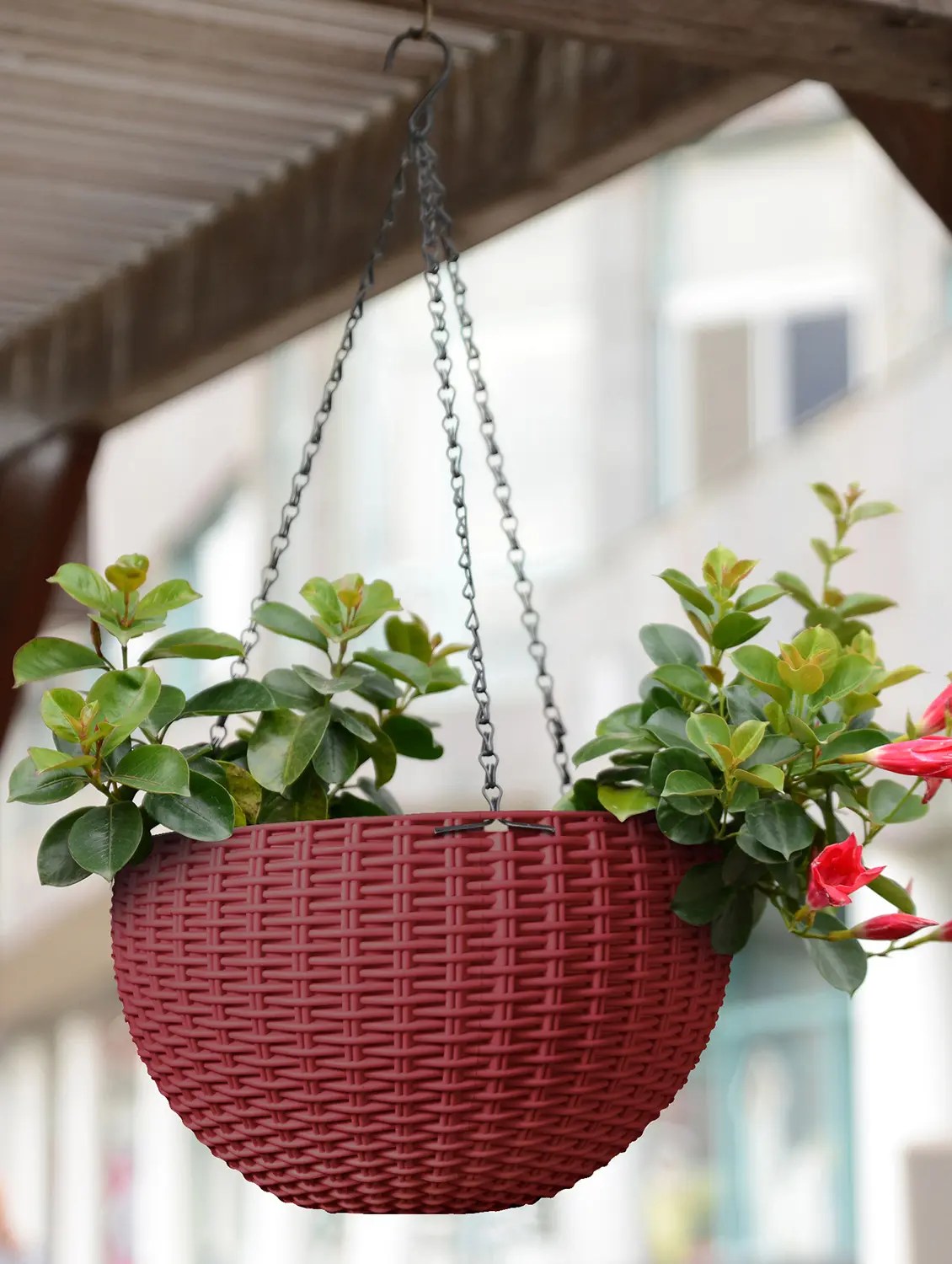 Buy online Round Rattan Woven Plastic Flower Pot Garden Plant Chain