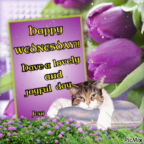 Happy wednesday PicMix