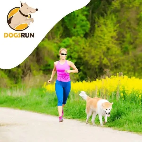 Dogs Virtual Run RUNNER'S WORLD