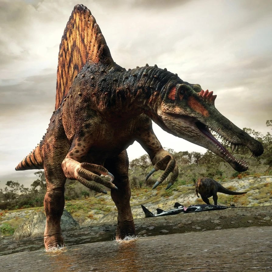 List 32+ Wallpapers show me a picture of a spinosaurus Excellent