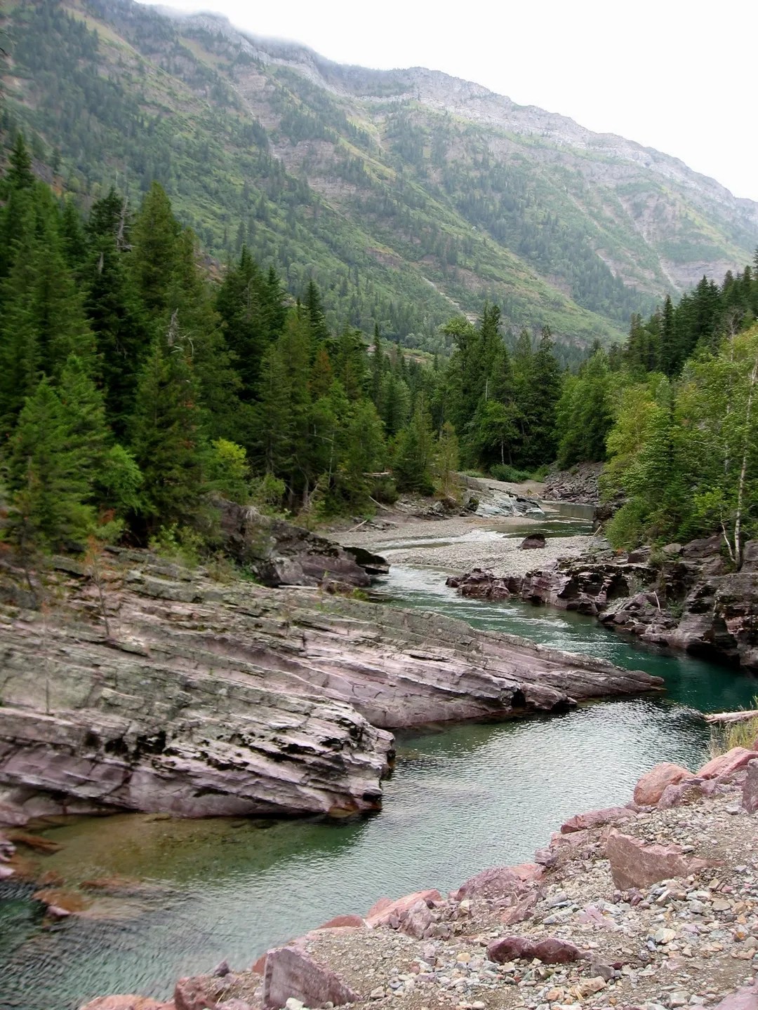 MONTANA MIGRATORY BIRD SEASONS, 20202021