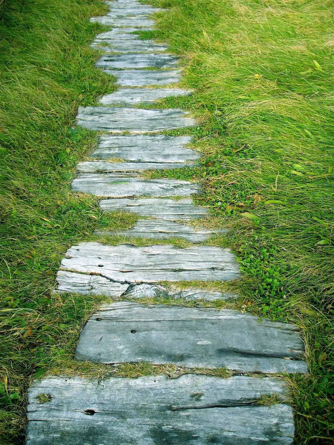 Bowling Green Psychiatry Psychiatry Bowling Green, Kentucky