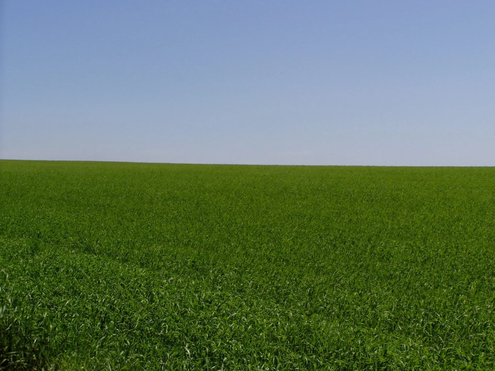 Padma McCord New Homes Real Estate Business Investor