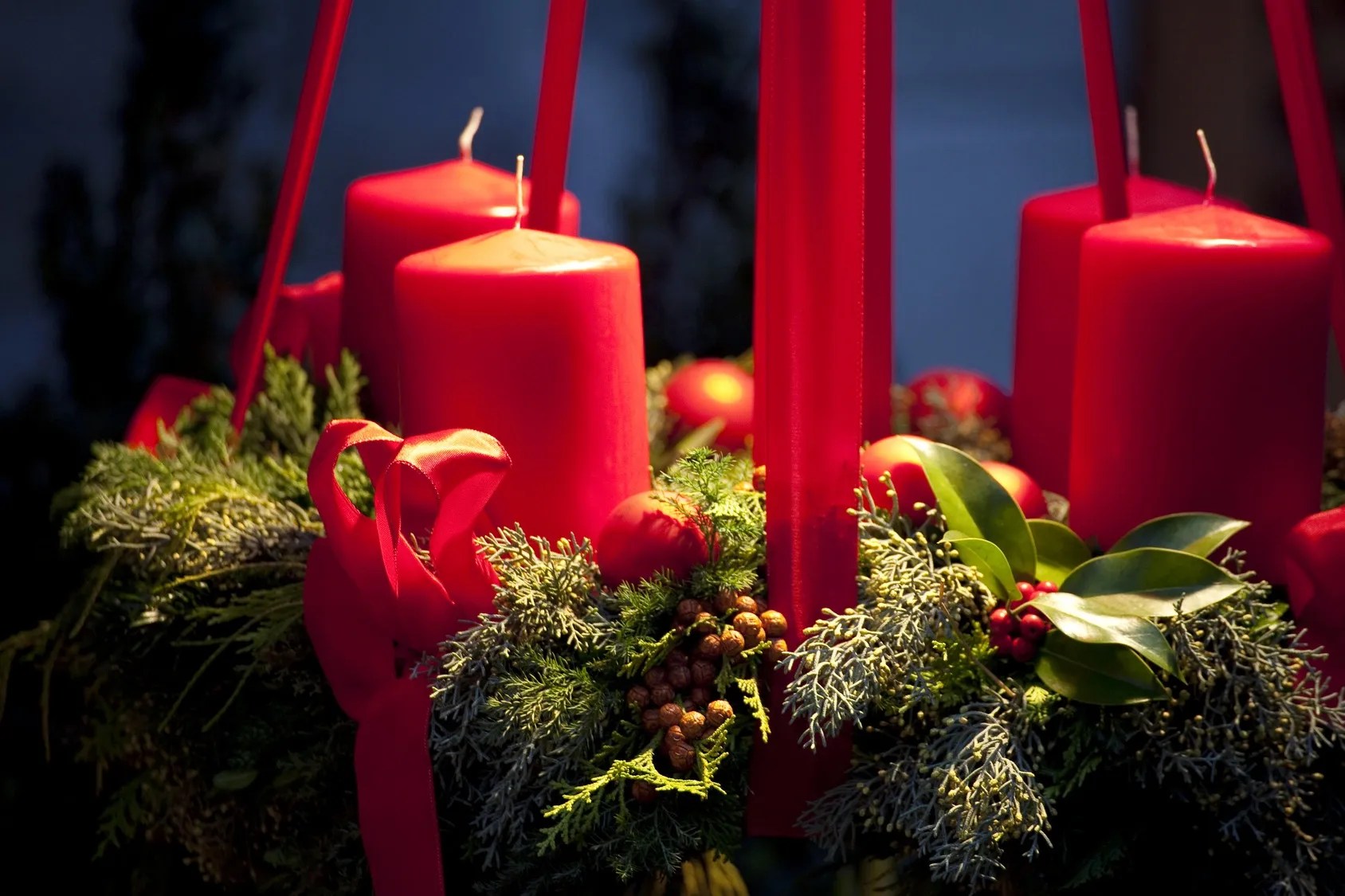 Home Lexington Gardens