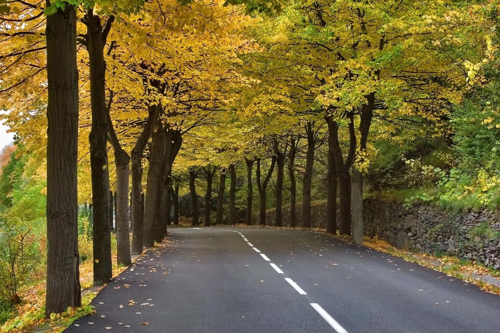 Daycare The Little Red School House Daycare & Nursery School