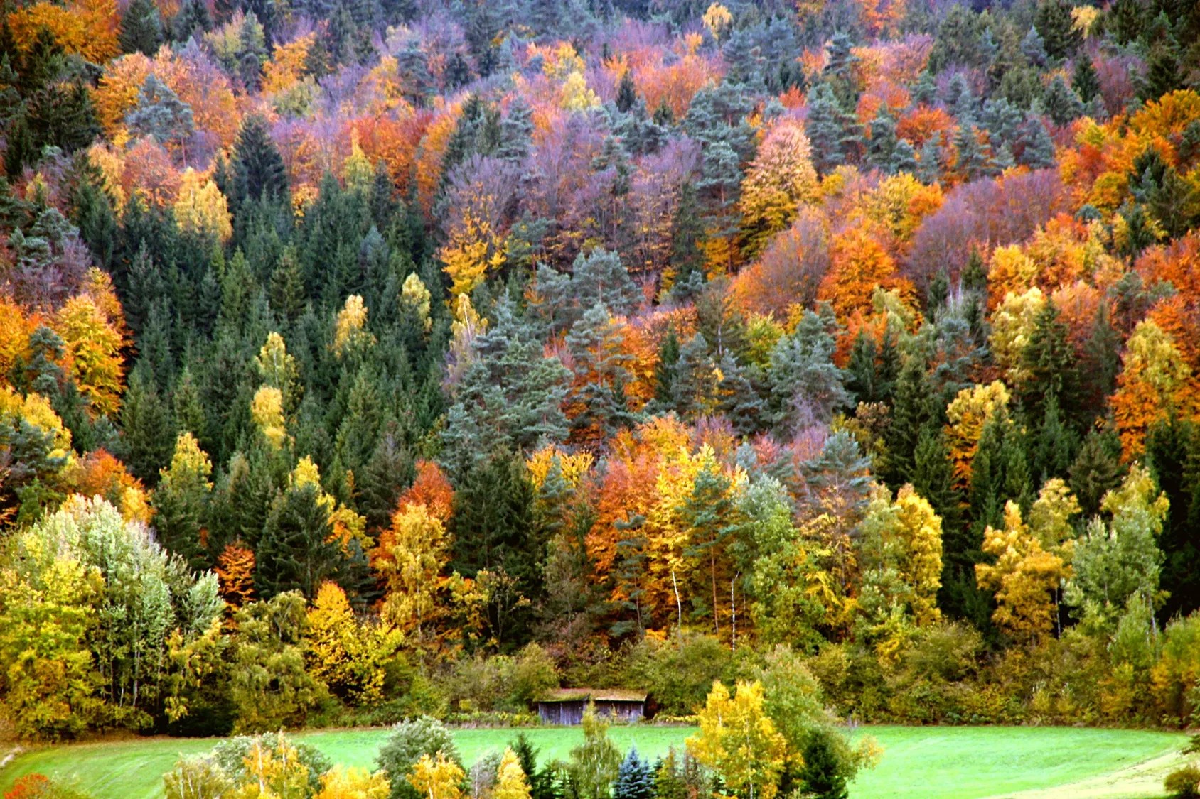 ARKANSAS HUNTING & TRAPPING SEASONS, 20202021