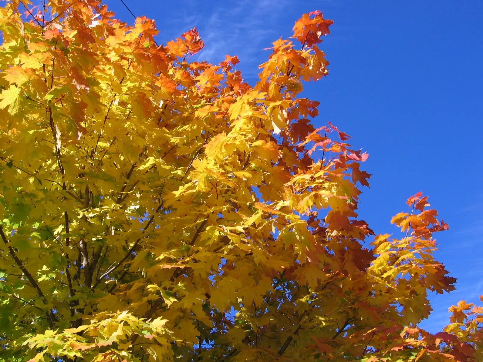 North Smithfield Landscaping