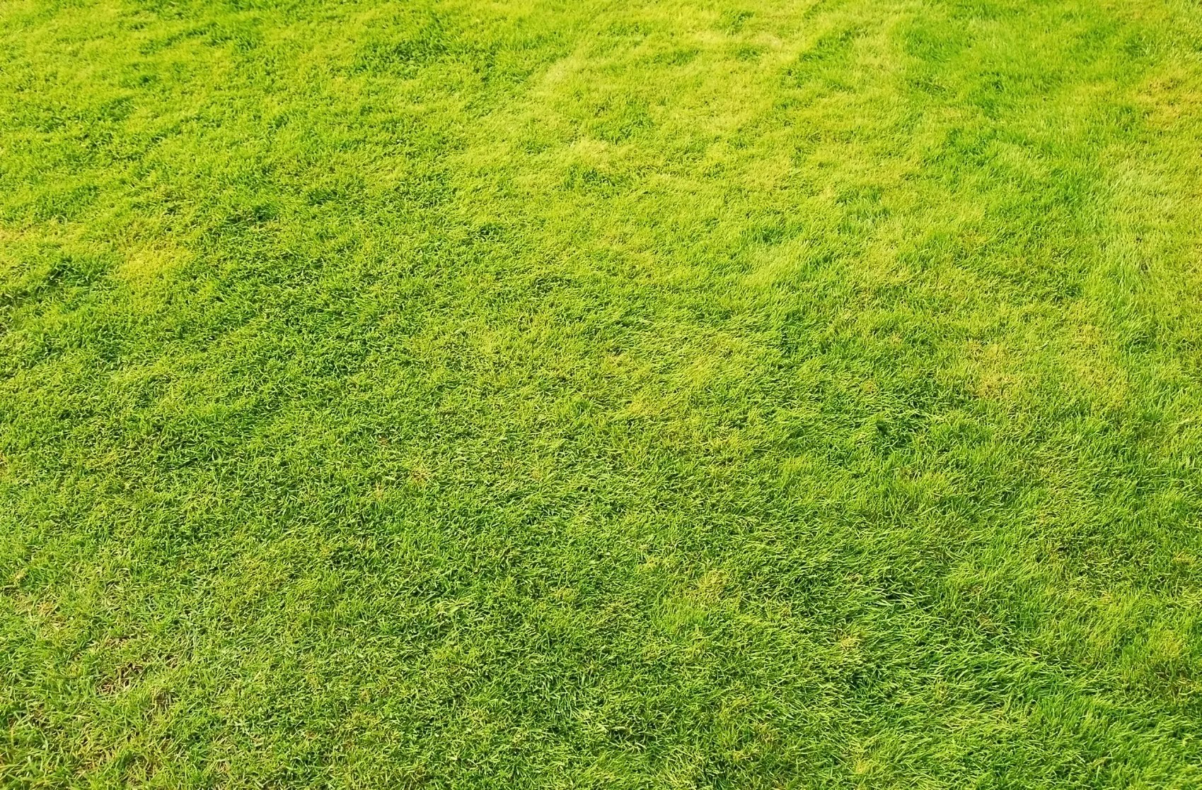 Epic Lawn Care Lawn Care, Landscape, Lawn Mowing Service