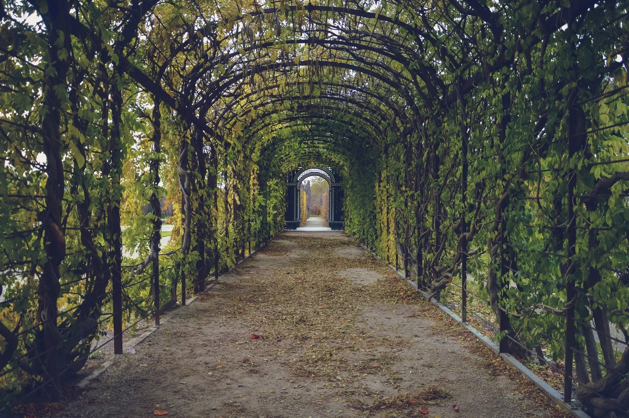 Rivendell Garden