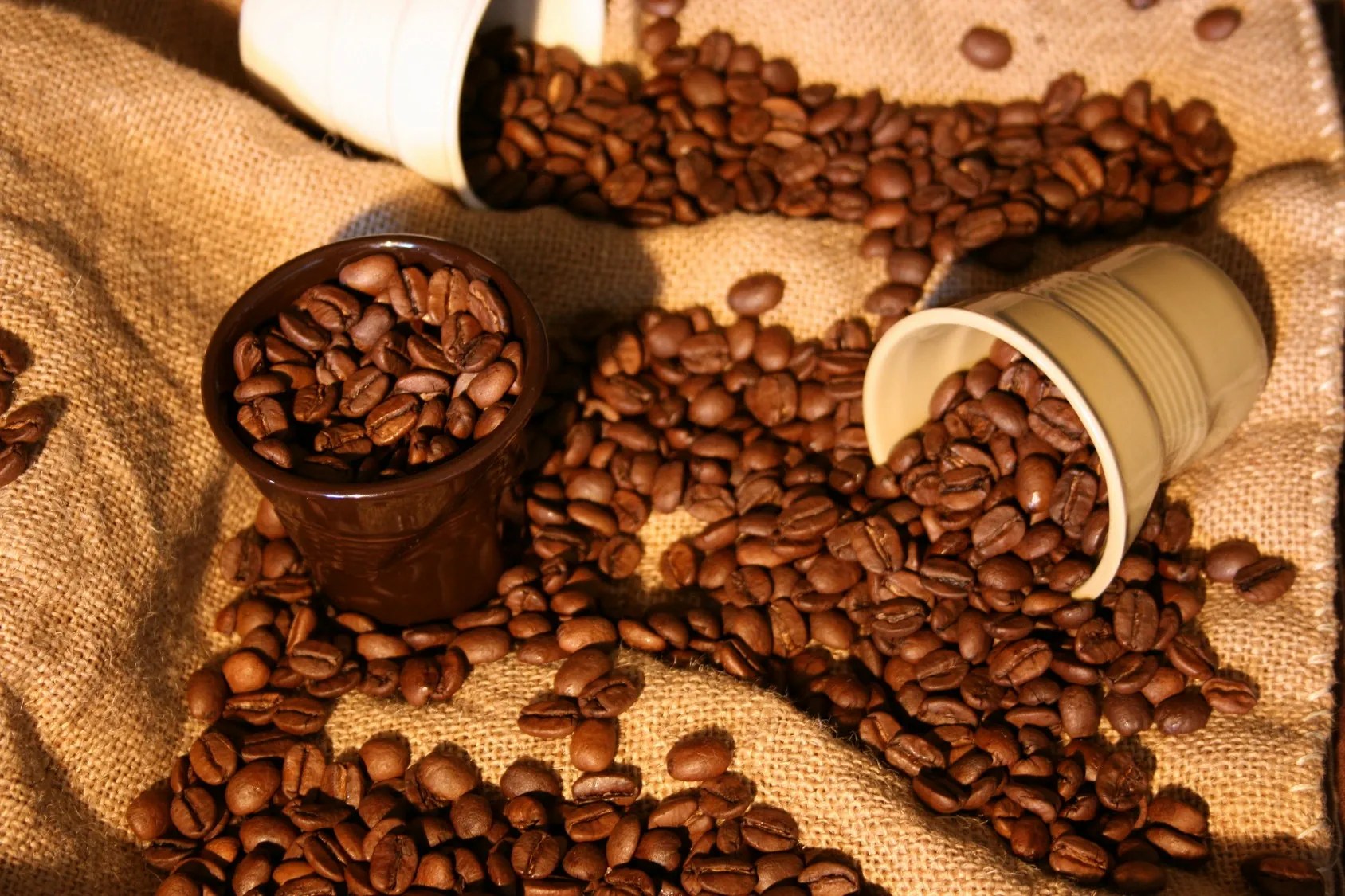 Distributor Information