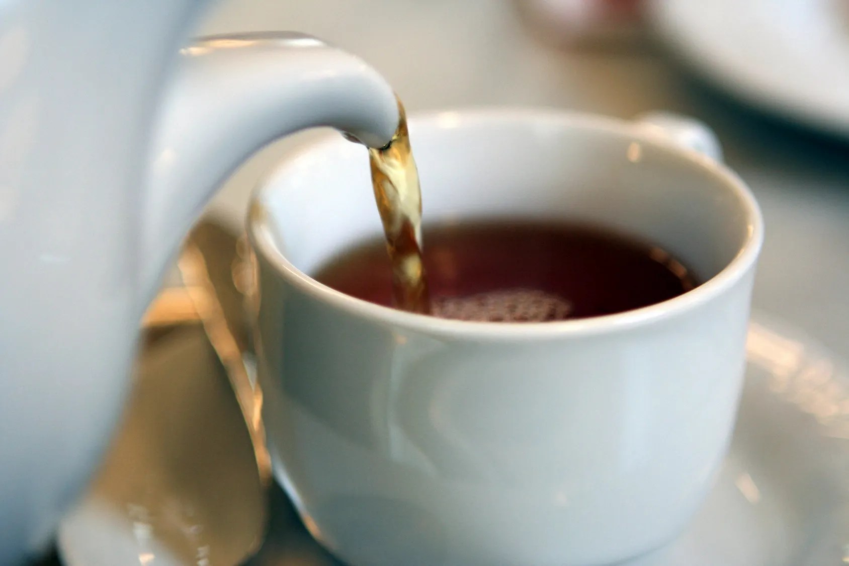 Melbourne Tea and Spice Shop llc Tea, Tea Shop