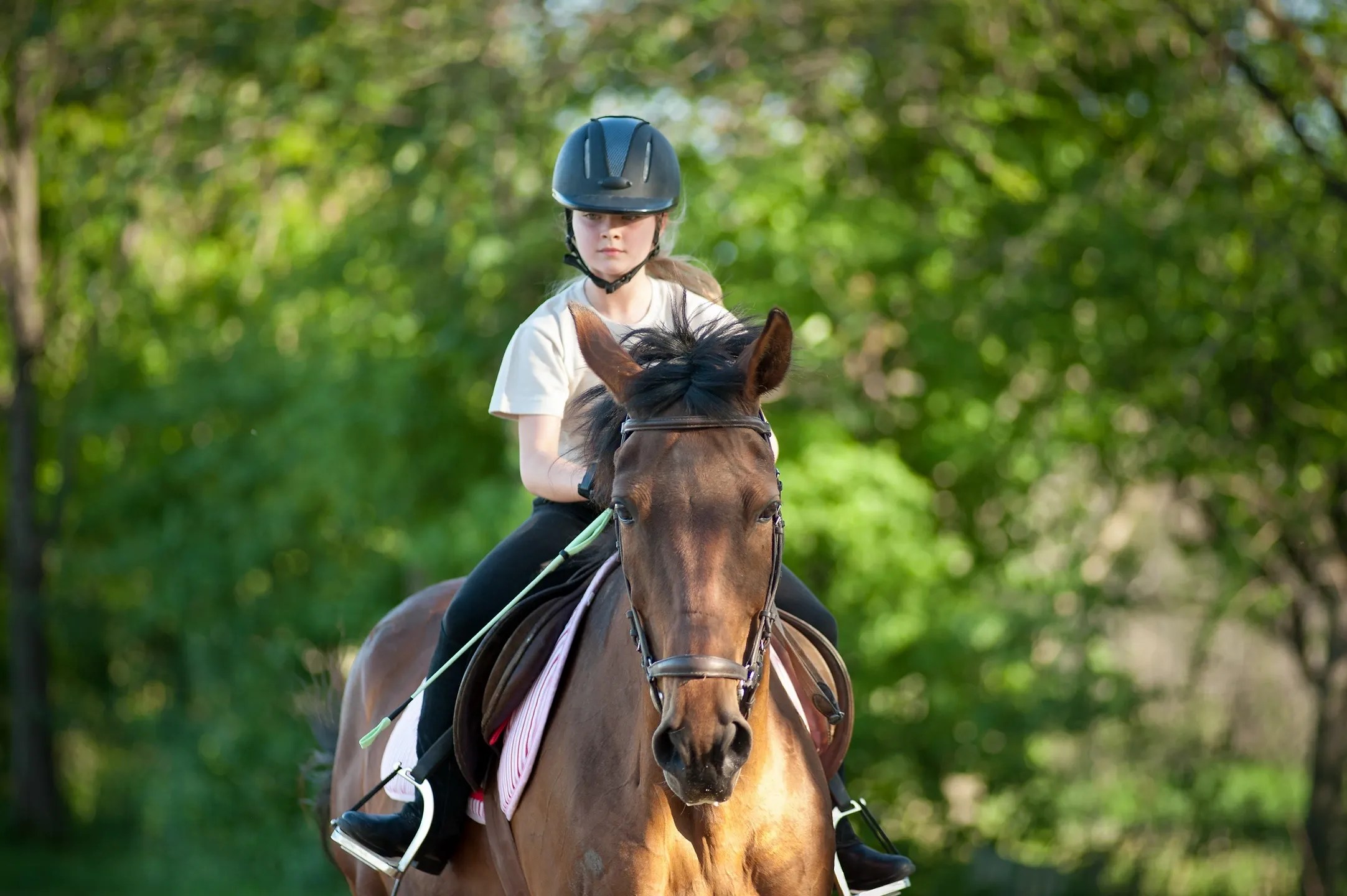 Coton House Farm Stables