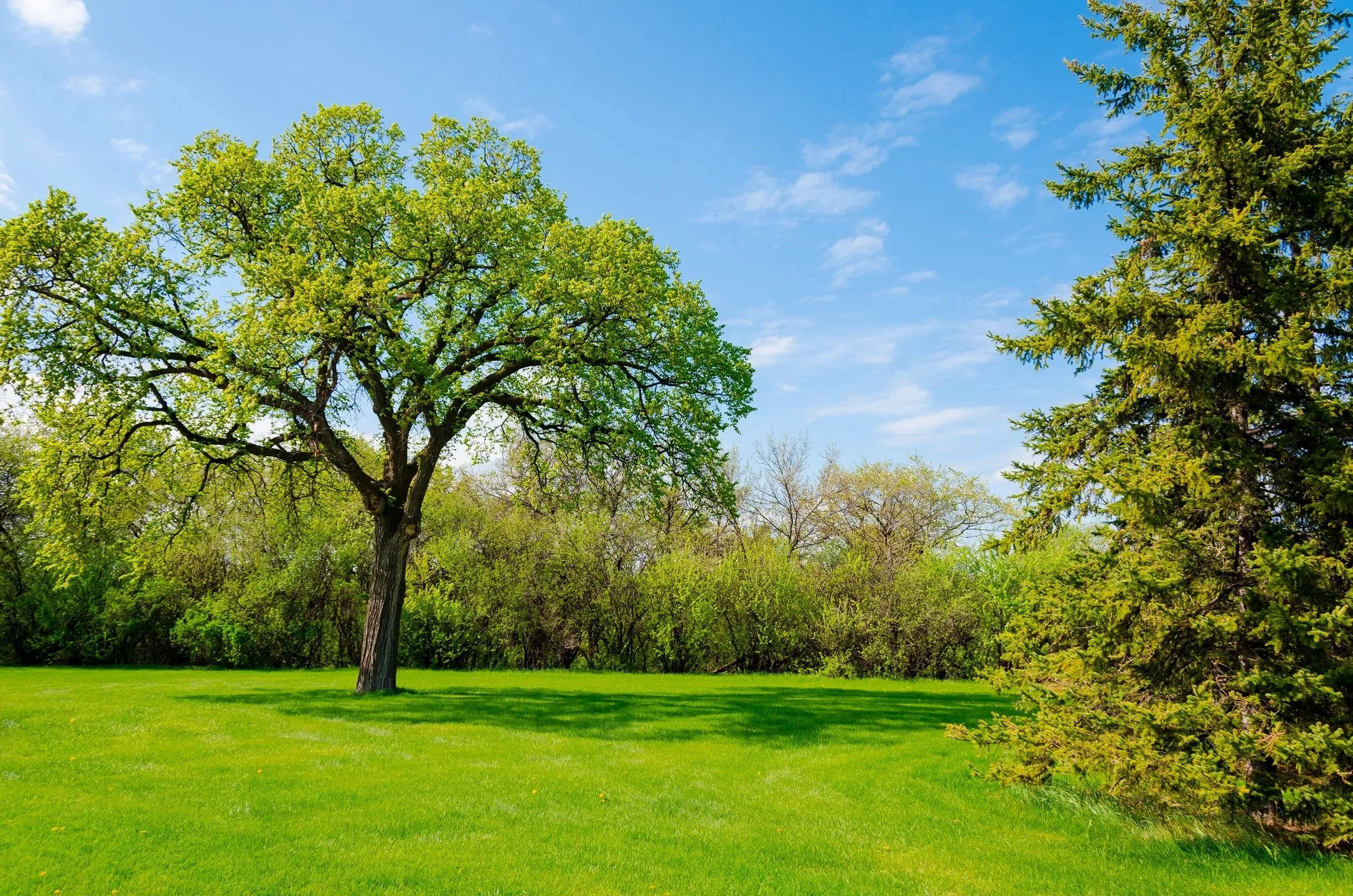 Mowing, Landscaping Dreher's Lawn & Landscape Topeka, Kansas