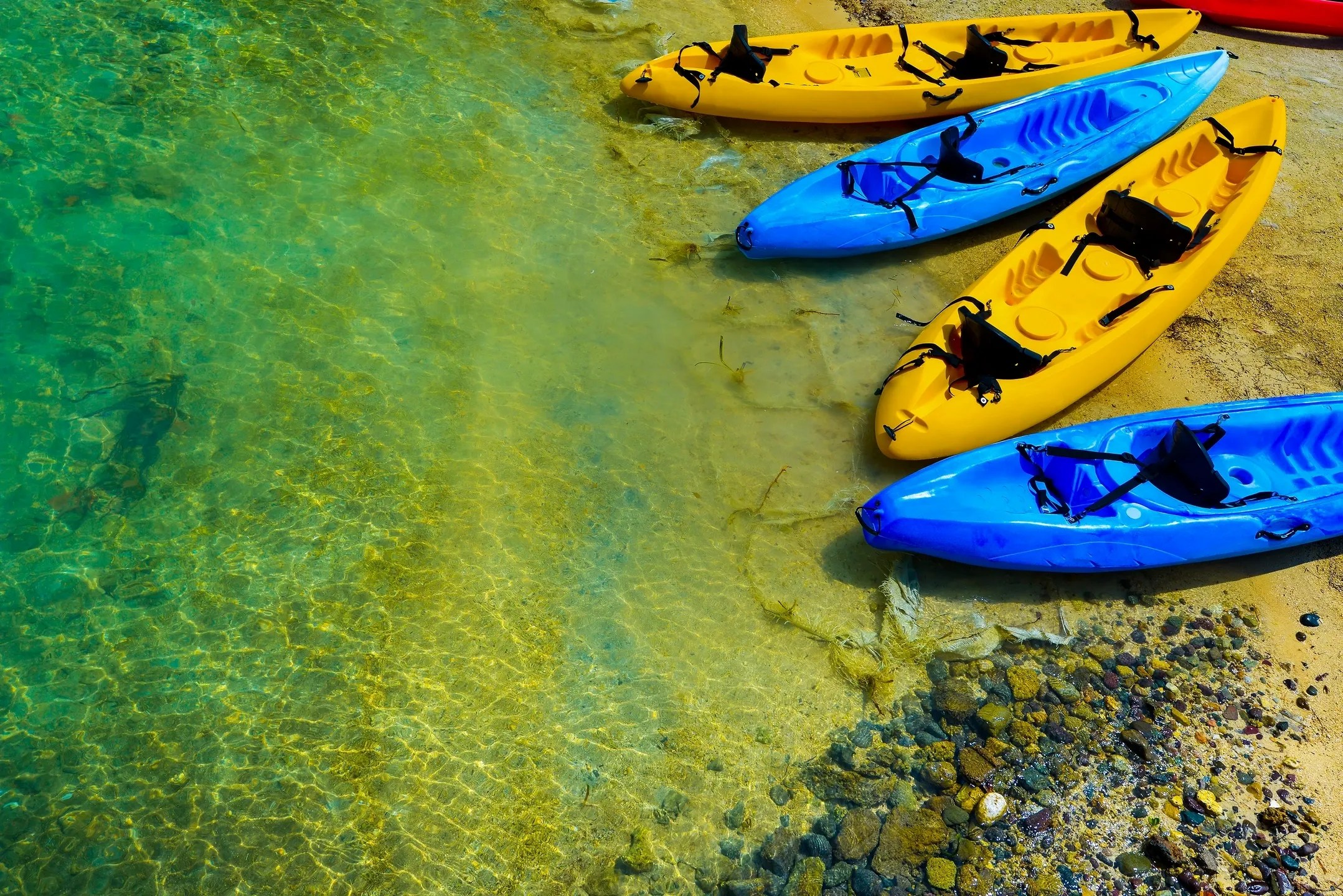 Top Canoe & Kayak Rental Service in Pell Lake