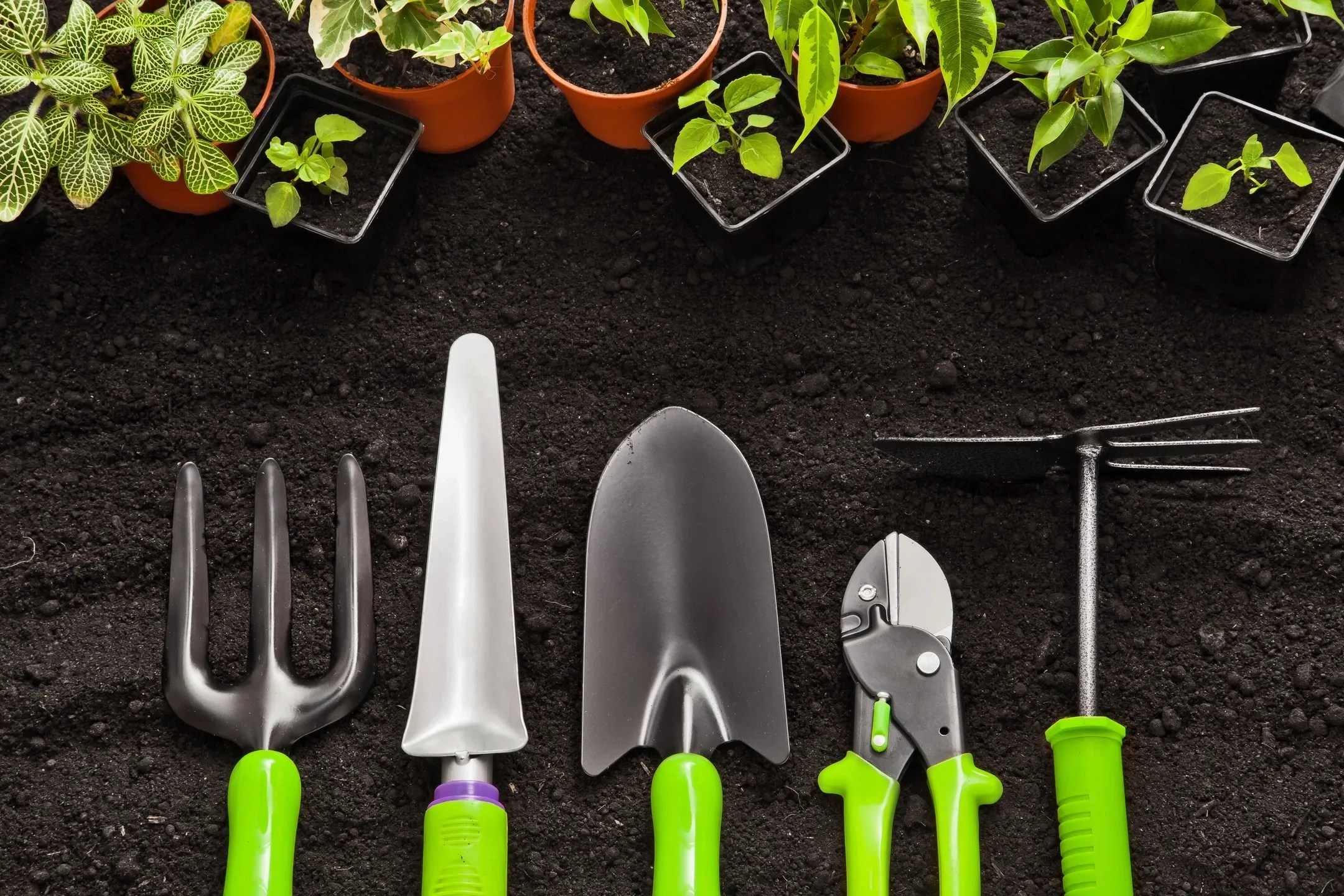 Cue Garden Gardening, Gardener, Gardening, Help at Home