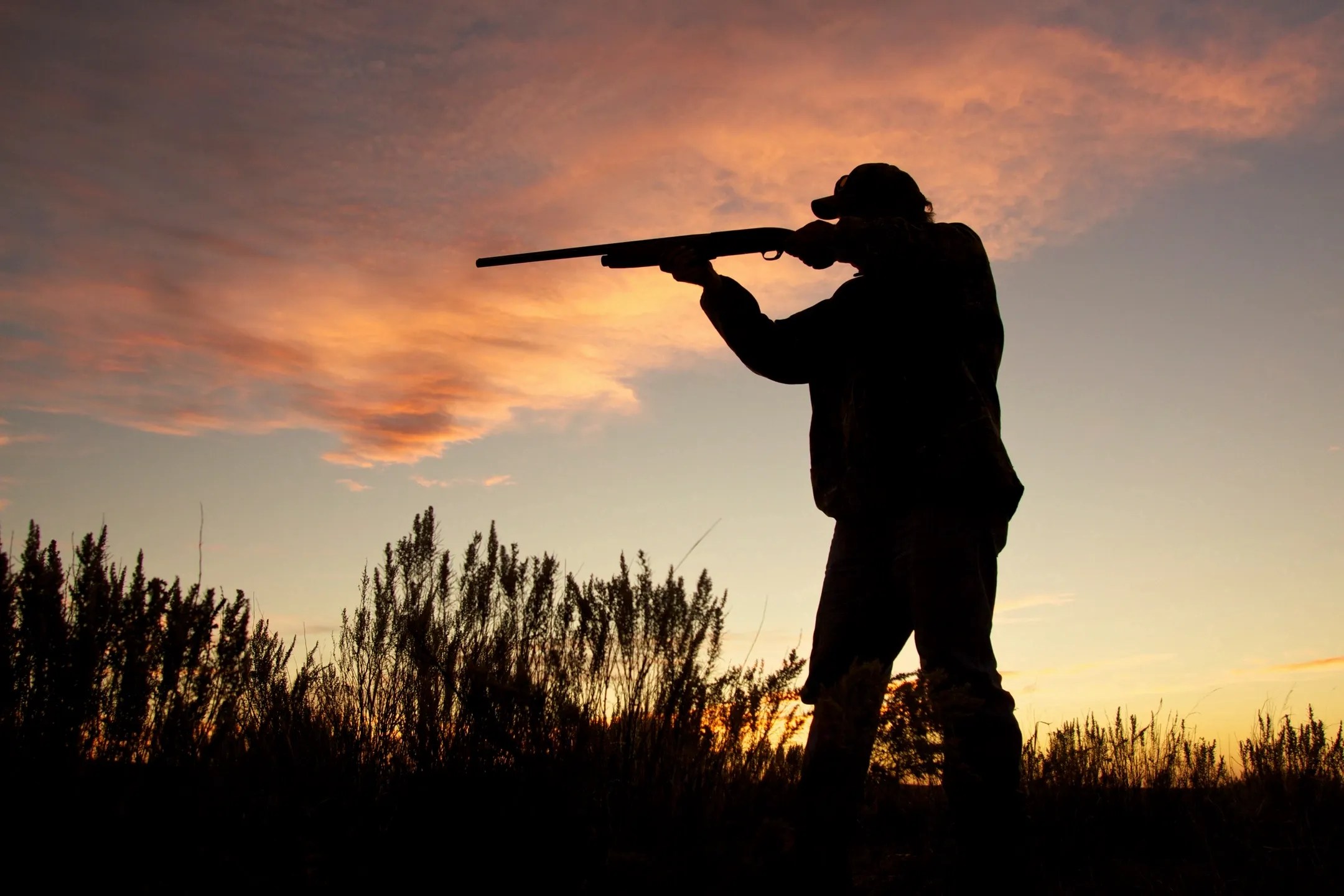 HUNTING SEASONS, 20202021