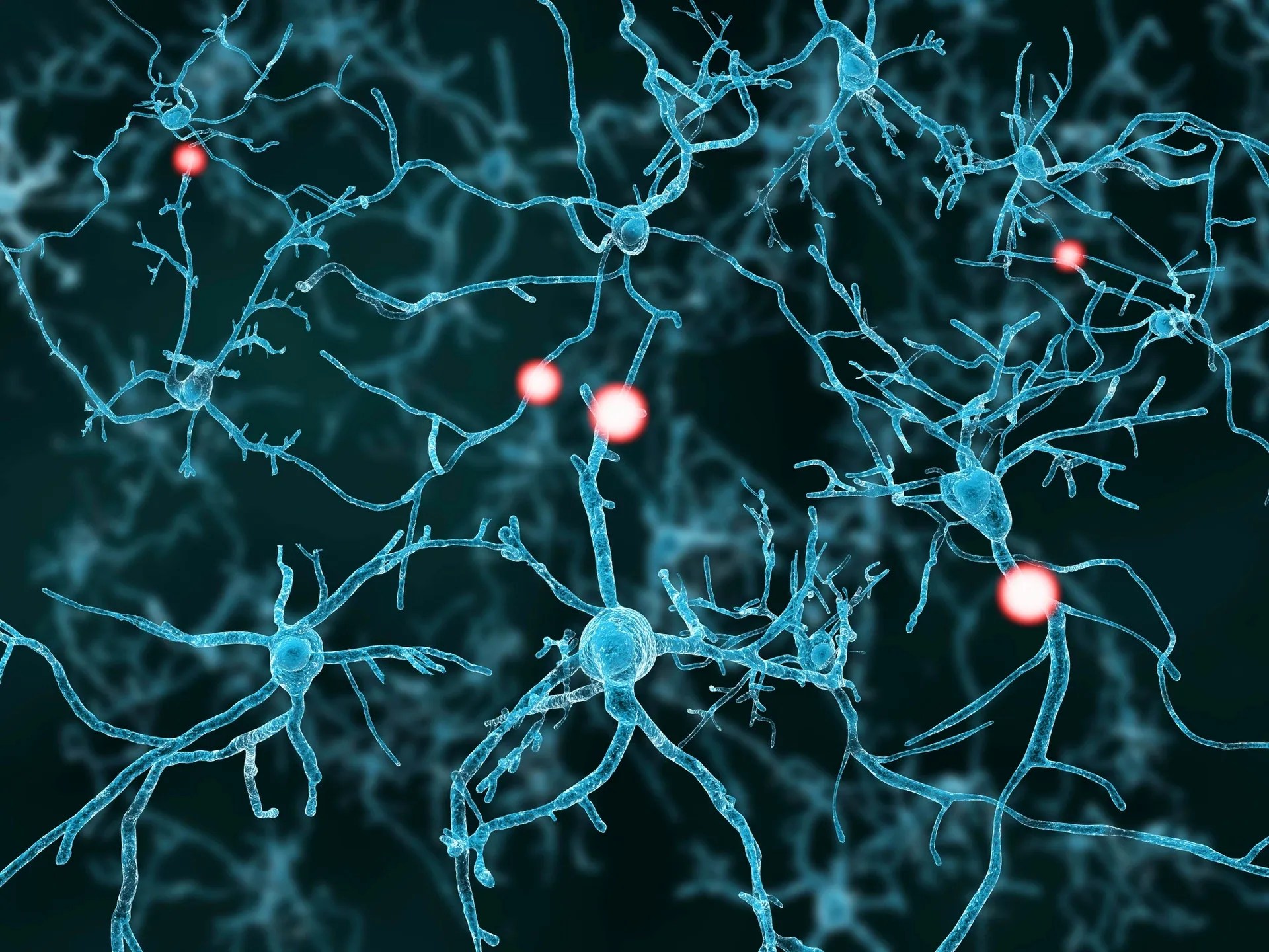 The Body Shop Affordable Chiropractic Services