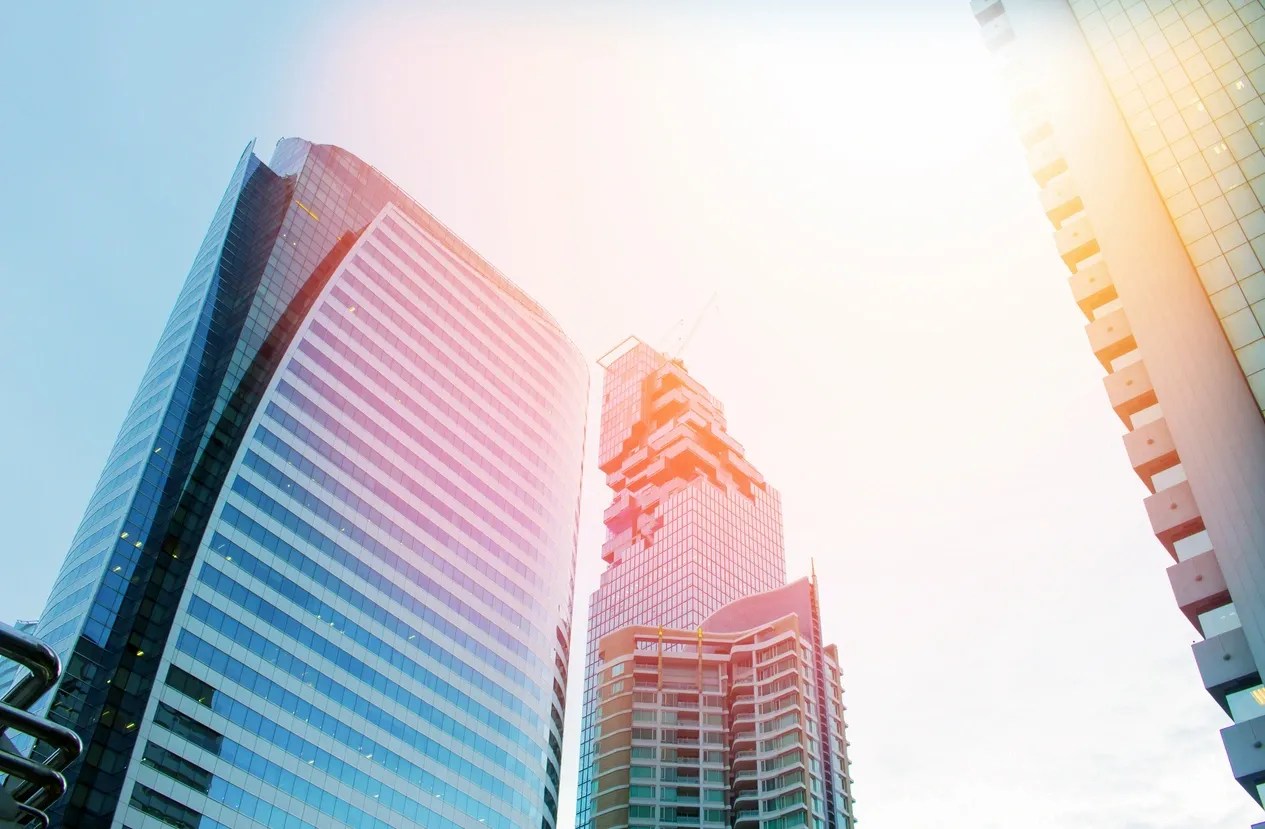 DPO&Co Daniel O'Reilly, Developing Insights to Drive Value