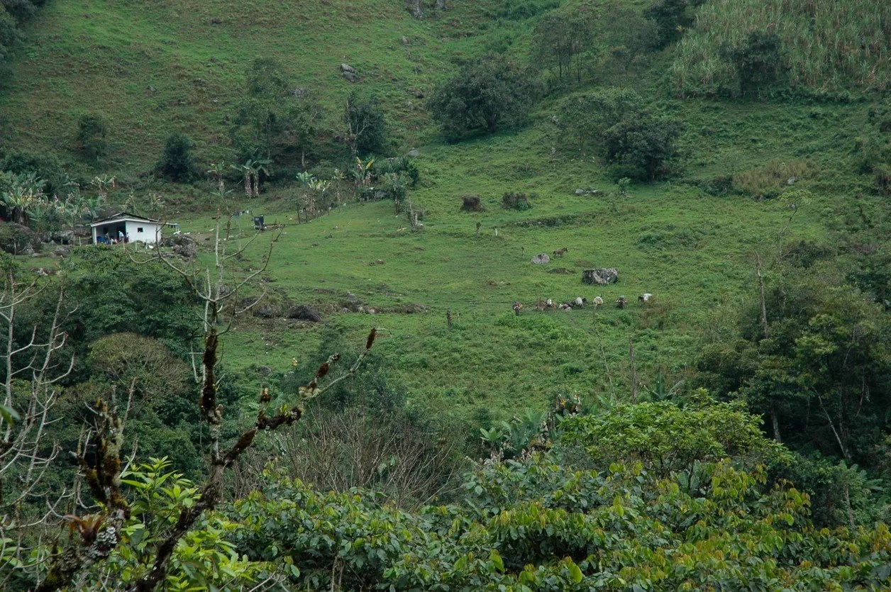 Hard Cash for Land Real Estate, Offer to Buy Land