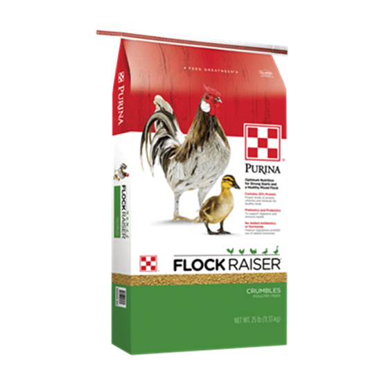 DEPARTMENTS Purina Flock Raiser Crumble 25 lb