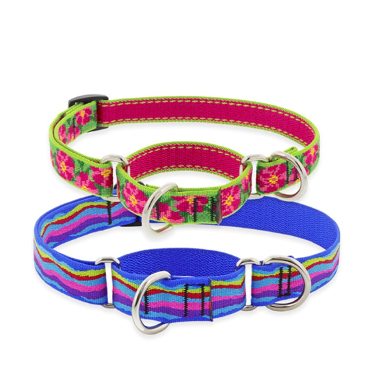 DEPARTMENTS Lupine 3/4" 14"20" Martingale Collar