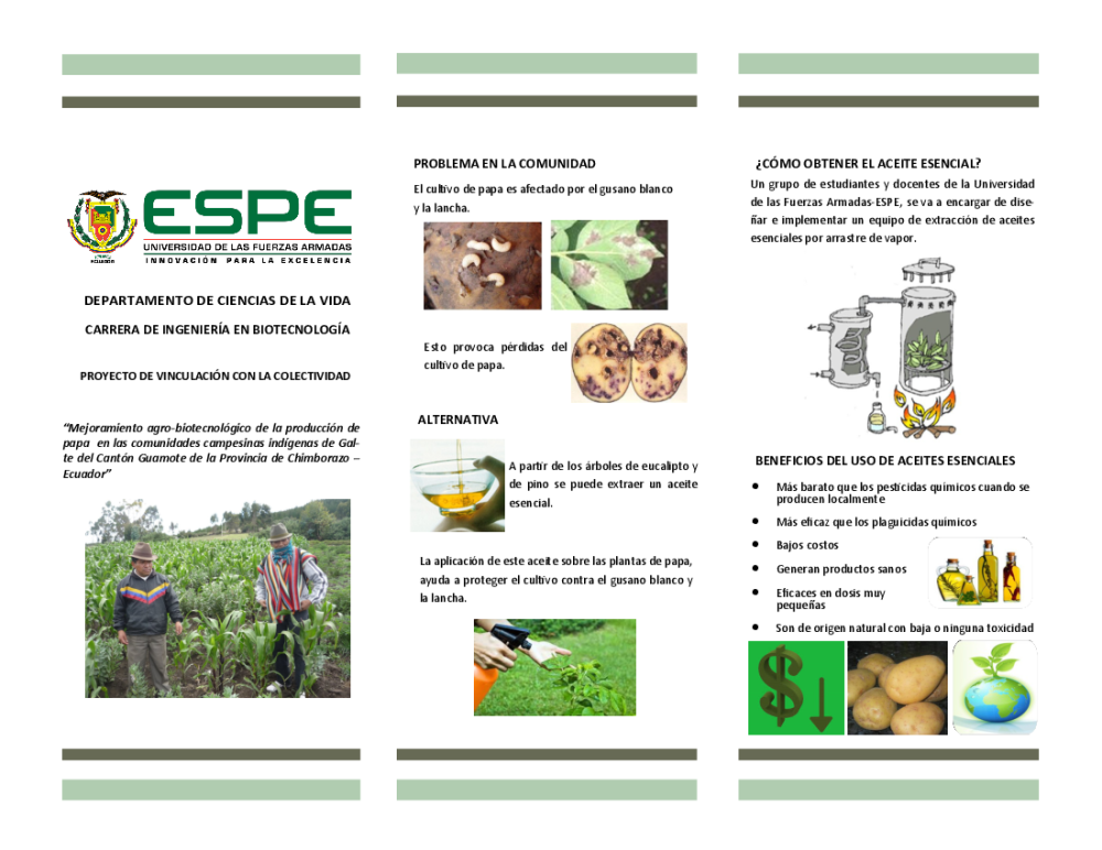 Triptico Galte aceites esenciales pdf