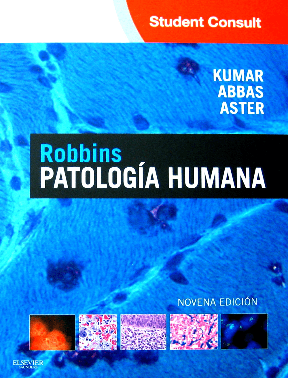 2013 Patologia Estructural y Funcional 9ed, Robbins & Cotran pdf