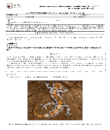 Artes Visuales 4 Basico Guia 5 Pdf Docer Com Ar