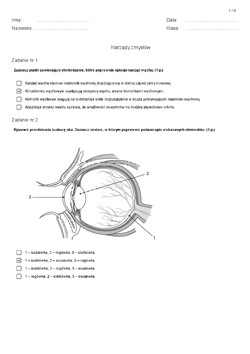 Test A odp narządy zmysłów Pobierz pdf z Docer.pl